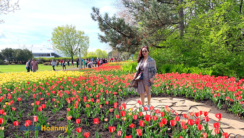 Khách hàng của Du lịch Hoàn Mỹ sau khi xin Visa Canada thành công, thưởng ngoạn lễ hội hoa tulip tại Ottawa, tháng 5, năm 2019. - visa canada