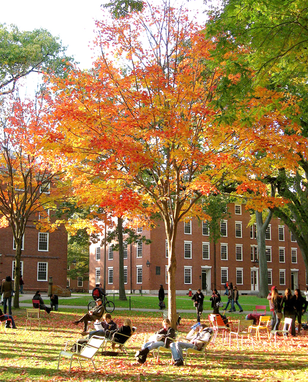 mùa thu ở Mỹ - Trong khuôn viên trường Đại học harvard mùa thu