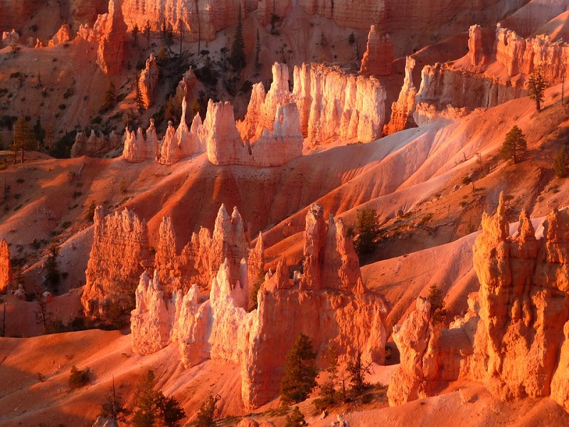 Đặt chân tới đây, du khách như bị mê hoặc đứng hàng giờ đồng hồ ngắm nhìn cao nguyên đá mà không thấy chán. - công viên quốc gia Bryce Canyon - dulichhoanmy.com