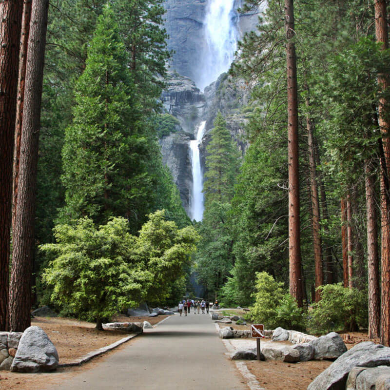 Công viên quốc gia Yosemite – Một trong những điểm thú vị nhất bờ Tây nước Mỹ, đẹp nhất từ tháng 4 – tháng 6 hàng năm. - du lịch bờ Tây nước Mỹ - du lịch hoàn mỹ