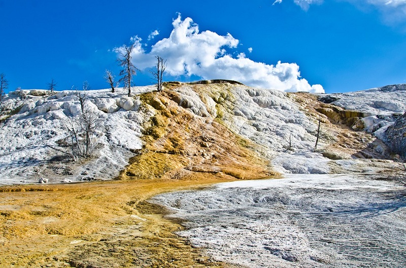 Suối nước nóng Mammoth có thượng đỉnh phủ đầy băng hà và ở miền hạ thì có thác nóng tuôn ào ạt tạo thành các bậc trông như bậc thang. - Yellowstone - dulichhoanmy.com