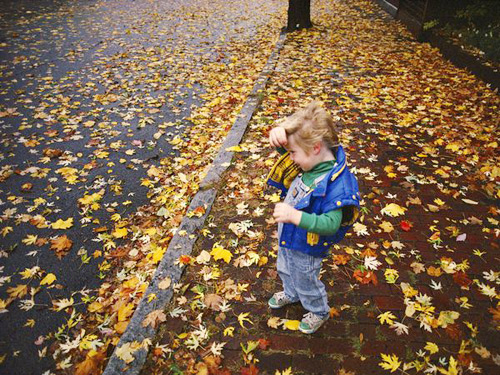 Em bé đang đứng trên con đường tràn đầy lá vàng. - mùa thu tại nước Mỹ - dulichhoanmy.com