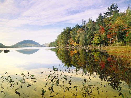 Mặt hồ phẳng lặng, in bóng hàng cây bên hồ. - mùa thu tại nước Mỹ - dulichhoanmy.com