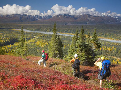 Những người trẻ thường chọn hành trình trekking để chiêm ngưỡng cảnh sắc thu thơ mộng. - mùa thu tại nước Mỹ - dulichhoanmy.com