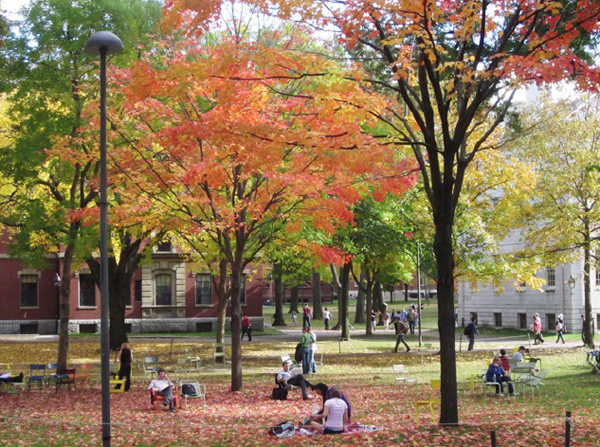 tour du lịch boston - Khuôn viên lãng mạn tại trường Đại học Harvard vào thu