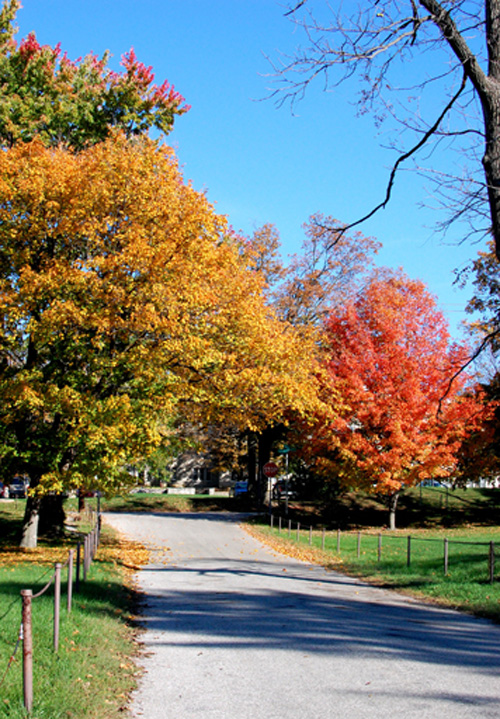 Cảnh mùa thu trong khuôn viên trường đại học Indiana, thành phố Bloomington, bang Indiana. - mùa thu ở nước mỹ - dulichhoanmy.com