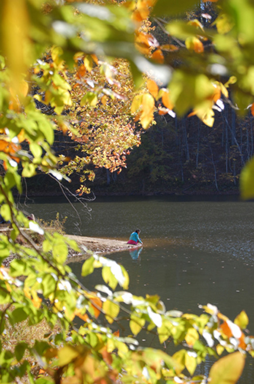 Hồ Ogle thấp thoáng giữa sắc vàng mùa thu. - mùa thu ở nước mỹ - dulichhoanmy.com
