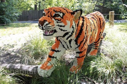 Một con hổ được lắp ghép từ nhiều mảnh lego. - Bronx zoo - dulichhoanmy.com