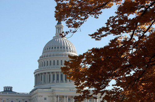 Tòa Quốc hội Mỹ khi mùa thu về với những sắc vàng ngập tràn khắp nơi. - mùa thu ở washington - dulichhoanmy.com